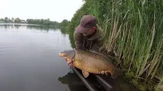 Rekord Skrzetuszewa karp 20,5 kg.#karp #common #carpwatch #hobby #carplife #śrubasbaits #karpiarstwo