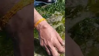 Atagema view of the sea #nararaisland #viral#jamnagar  #atagema#shortsviral #youtube #beach #marine