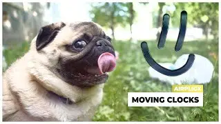 Happy Dog Relaxes In Plastic Waste | Music Ad | Airpligx