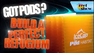 Setting Up a Macroalgae Refugium w/Reef Nutrition