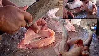 super fast chicken cutting skills