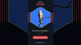 National Bird of Mauritius #quiztime #birds #birdslover #wildlife#animals #quiz #nature #cute