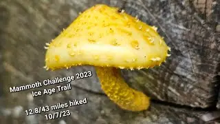 Mammoth Challenge 2023 -- Ice Age Trail -- Day 2 -- Saw Something Magical
