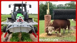 Advanced Cultivating Innovation & Astounding Horticulture Machines