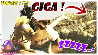 LICORNE À L'EXTRÊME !!! Arkfr - mutations extrême = sommeil extrême 🤣 VS un giganotosaure !???