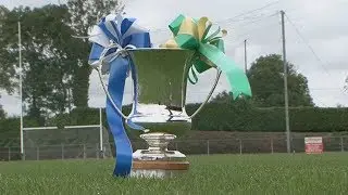McElvaney's Waste & Recycling IFC Final 2017