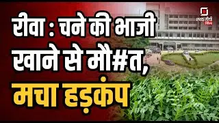 Shabd Sanchi Vindhya News Bulletin | Rewa Crime News | Mauganj Suicide News | Satna crime News