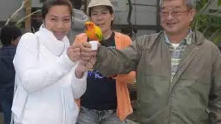 SIGHTSEEING || FLOWER & BIRD SANCTUARY || KAKEGAWA SHIZUOKA || #japan
