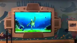 CHOC Turtle Talk