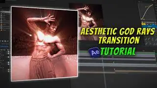 Master the Aesthetic 