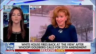 Lyman: Democrats Want To Change The Outcome Of The 2024 Election
