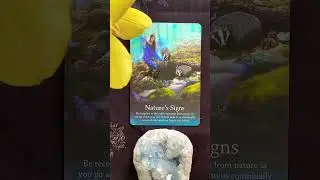 Oracle #shorts #shortvideo #nature #oracle #spirituality #oraclecards #tarotreader #spiritual #uk