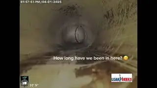 POV: You&rsquo;re a Sewer Camera Finding the Break! 👀 | Tree Roots Causing Major Damage 💦