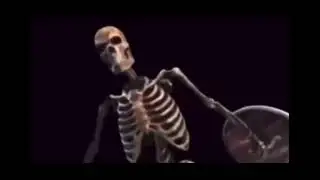 skeleton banging shield