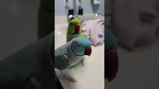 Welcome back!