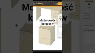 Jak dziala modułowość korpus&oacute;w w PaletteCAD? 🤔