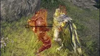 Inconceivable! | Elden Ring Invasions