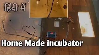 DIY Egg Incubator - How to Hatch Eggs at Home