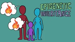 Do We Inherit the Memories of Our Parents? - Epigenetics and Intergenerational Trauma