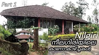 നീലഗിരിയിലെ കാണാ കാഴ്ച്ചകൾ |British Bungalows | Nilgiri Villages | 3 Division | Gudalur | #village