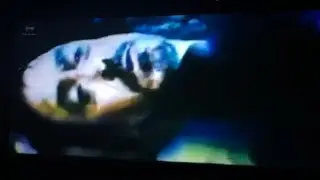 *New* Avengers Endgame Leaked Footage Ending Explained *Spoilers Warning* (Avengers 4 Ending Leaked)
