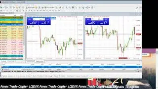KouLeeFX LQDFX Free Trade Copier for LQDFX Affiliates #LQDFX