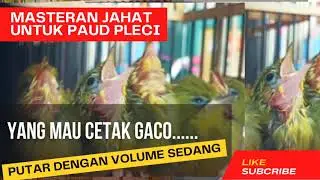 MASTERAN JAHAT UNTUK PAUD PLECI YANG MAU CETAK GACO