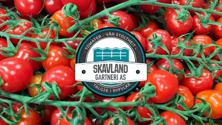Skavland Gartneri
