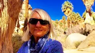Hiking the Lost Palms Oasis trail in Joshua Tree National Park