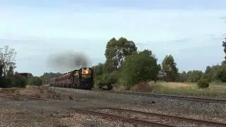 27/11/2010 - SRHC Christmas Picnic train to Tocumwal passes Toolamba