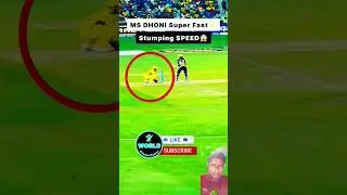IPL key moment CSK vs kol #cskvspbks #cricket #msdhoni #sakshidhoni #ipl