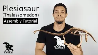 Plesiosaur (Thalassomedon) 3D Wooden Puzzle | Assembly Tutorial