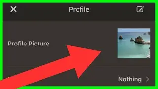 How to Change Profile Picture on Chess.com App (NEW UPDATE in 2023)