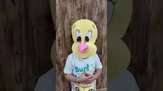 Tweety #tweetybird #tweety #cartoon #cute #kids #song #tweetysong #rio