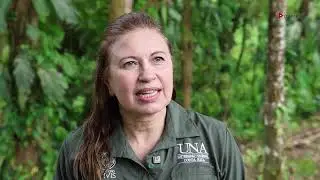 Monitoreo del pájaro campaña