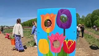 Wicked tulips 🌷 Farm in Rhode Island, 2025