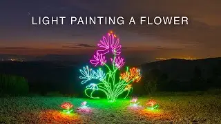 Light Painting a Blooming Flower | Stop Motion | Behind the Scenes