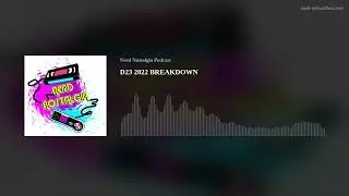 D23 2022 BREAKDOWN