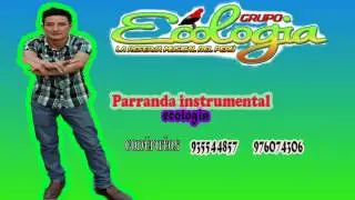 Grupo ecolog&iacute;a ----- parranda instrumental 2017