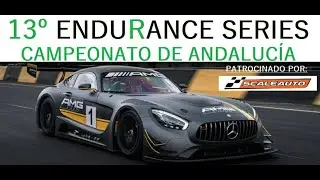 MERCEDES AMG GT3 SCALEAUTO