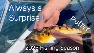 Fishing Cape Cod 2025: A Season in Review