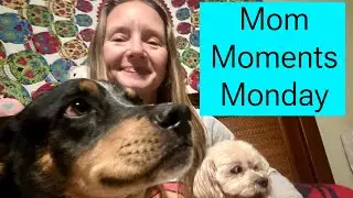 Mom Moments Monday! Happy National Dog Day!
