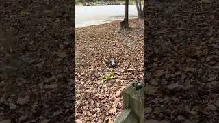 I forgot about this video 😂 #hosim #offroad #fyp #rc #jump #rccar