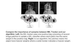 Visual Tracking Based on Distribution Fields and Online Weighted Multiple Instance Learning
