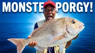 Fishin Addicts - catching big porgies Long island Sound