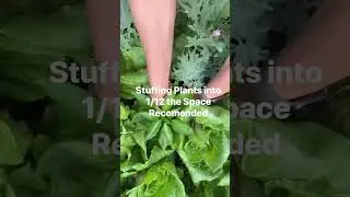 People won&rsquo;t tell you this! These are the garden hacks that actually work&hellip; #garden #gardening101