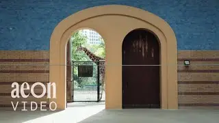 Are zoos born of a desire to understand or control? | Curiosity and Control