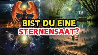 ✨Auserwählte✨ Warum du dich anders fühlst: Die 9 Merkmale der Sternensaaten