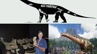 The grand largest dinosaur bones were discovered world - New dinosaur species