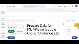 08 Prepare Data for ML APIs on Google Cloud: Challenge Lab
